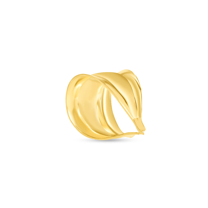 #color_gold